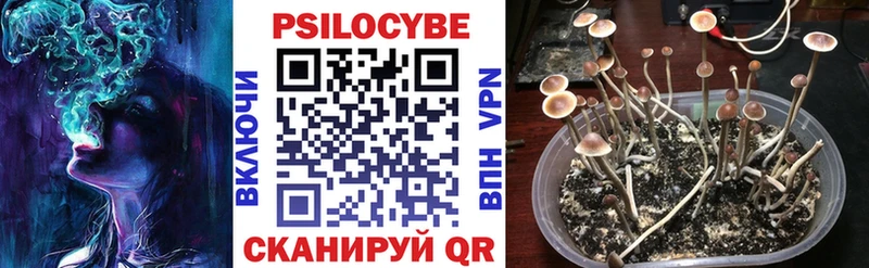 Галлюциногенные грибы GOLDEN TEACHER  Зима 