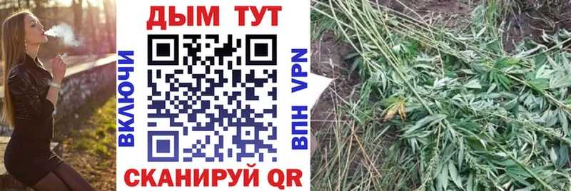 МЕГА вход  Зима  Конопля сатива 