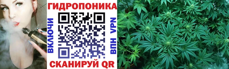 Канабис Bruce Banner Зима